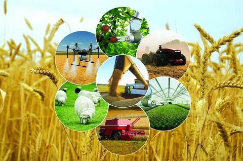 Үй иесі мен құлдың зәр шығаруы