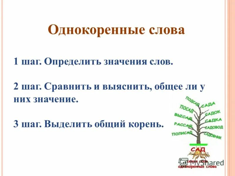 Разгаданная однокоренные