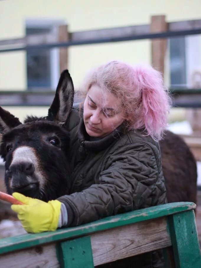 Велес приют для животных вологда собаки. Бездомные животные вологда. Забери меня домой. Вологда велес кошки. Вологда организация велес.