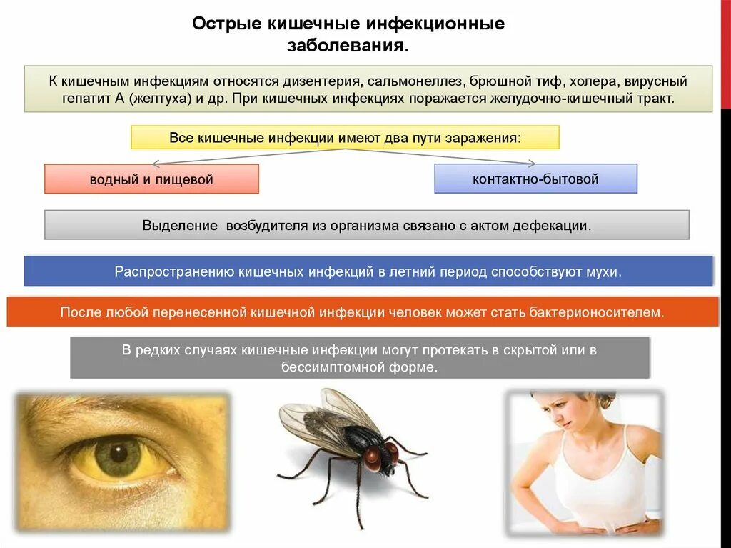 Трансмиссивными инфекционными болезнями являются