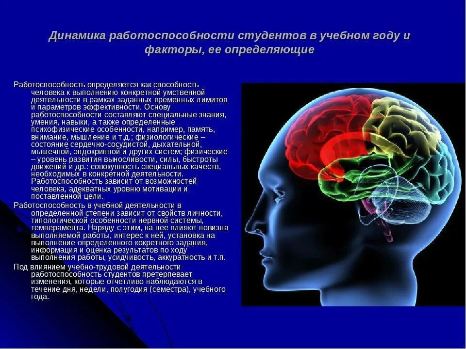 Факторы влияющие на мозг. Динамика работоспособности студентов. Работоспособность в психофизиологии. Психофизиология человека. Умственная работоспособность.