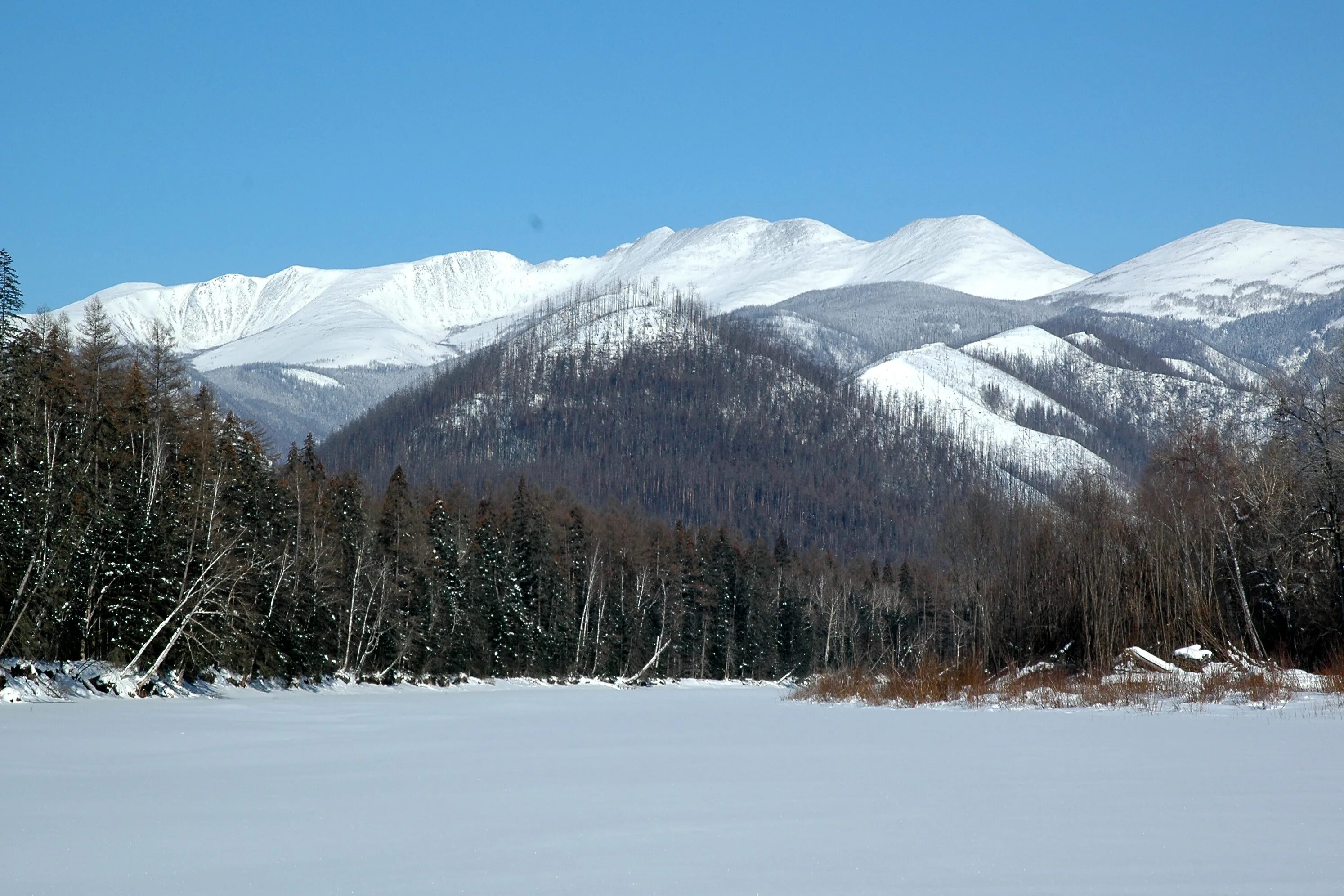 сайт туризма хабаровского края. национальные проекты хабаровск. виды туризма в хабаровском крае. хребет сихотэ-алинь. хабаровский край турпоток.
