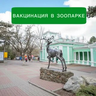Ростов зоопарк 2024
