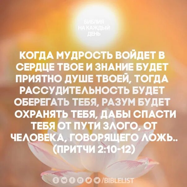 Мудра для сердца. Когда мудрость войдет в сердце твое и знание будет. Вся мудрость в сердце. Когда мудрость войдет в сердце твое и знание будет приятно душе твоей. Мудрость сердца.