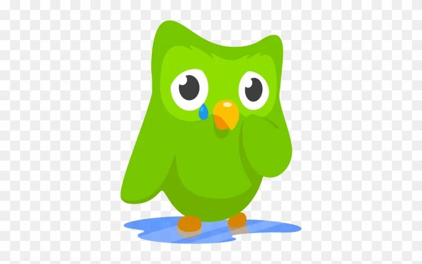 Аватарки дуолинго. Дуолинго птица. дуолинго злой. duolingo злая. сова из дуолинго.