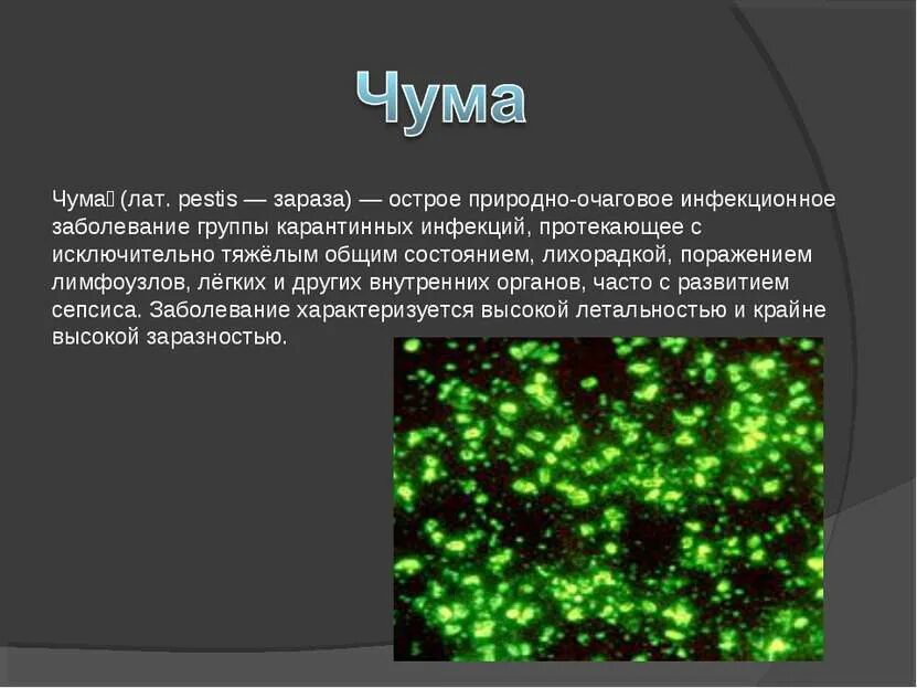 Чума происхождение болезни. Чума инфекционные болезни презентация. Вирус чумы презентация.