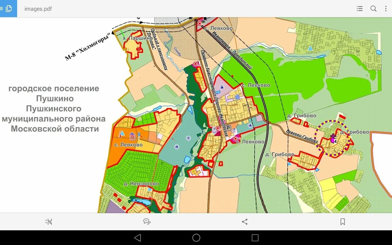 Кадастровая карта пушкинское. Левково 3. Коттеджный поселок Левково. План дорог в Пушкино. Генплан Пушкино.