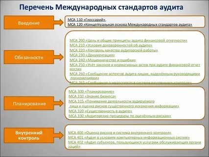 Основные цели аудита мса 200