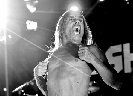 Iggy stooges