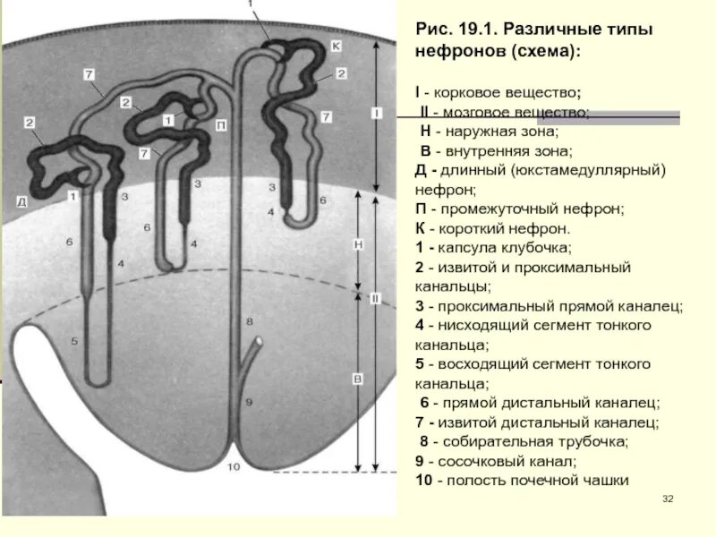 Рис 1 3 19 рис