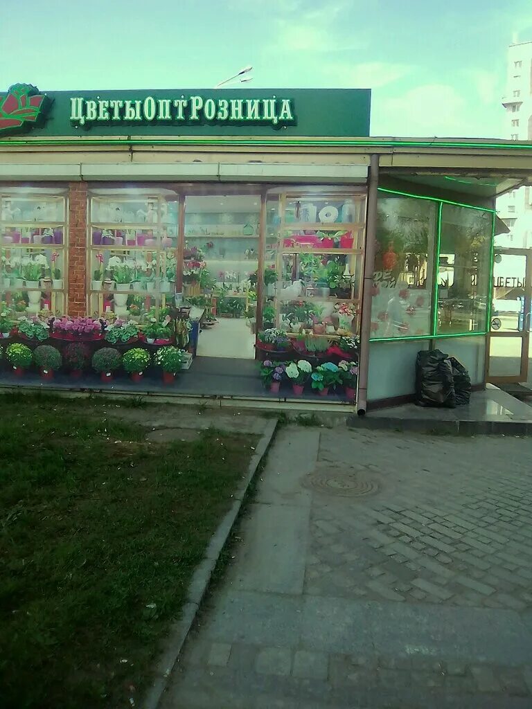 рыбацкая улица 12 спб цветочная лавка. цветочный базар спб. цветыоптрозница. санкт петербург ул. ассортимент цветочного магазина.