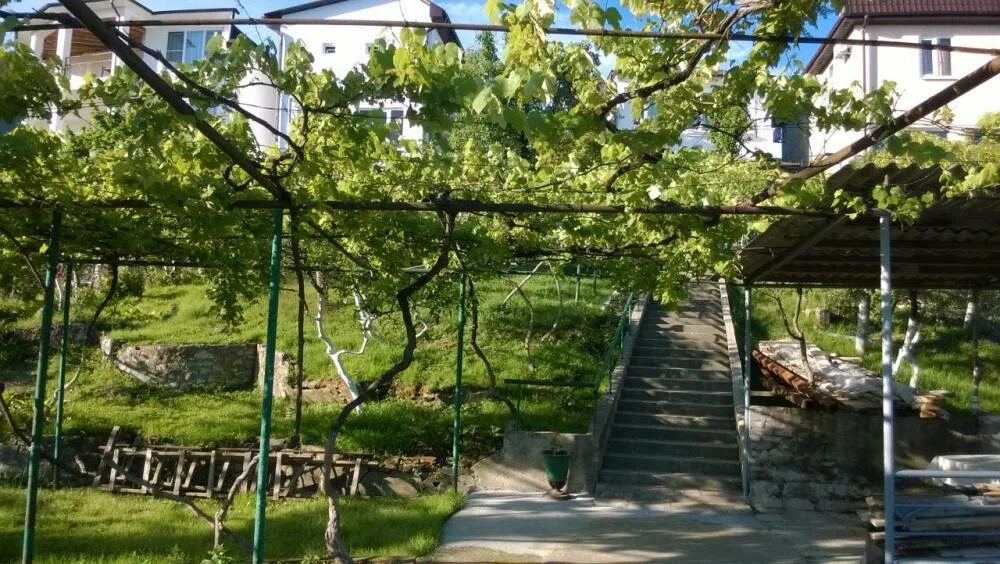 Новый афон чанба. Новый афон ул чанба. гостевой дом чанба 17 абхазия новый афон. новый афон, ул чанба 3 гостевой дом у эммы. армянское ущелье абхазия новый афон частный сектор.