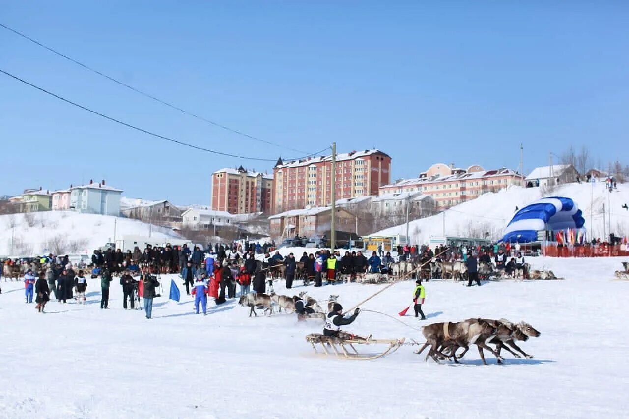 День оленевода Салехард. День оленевода Салехард 2021. День оленевода Салехард 2022. День оленевода новый Уренгой.