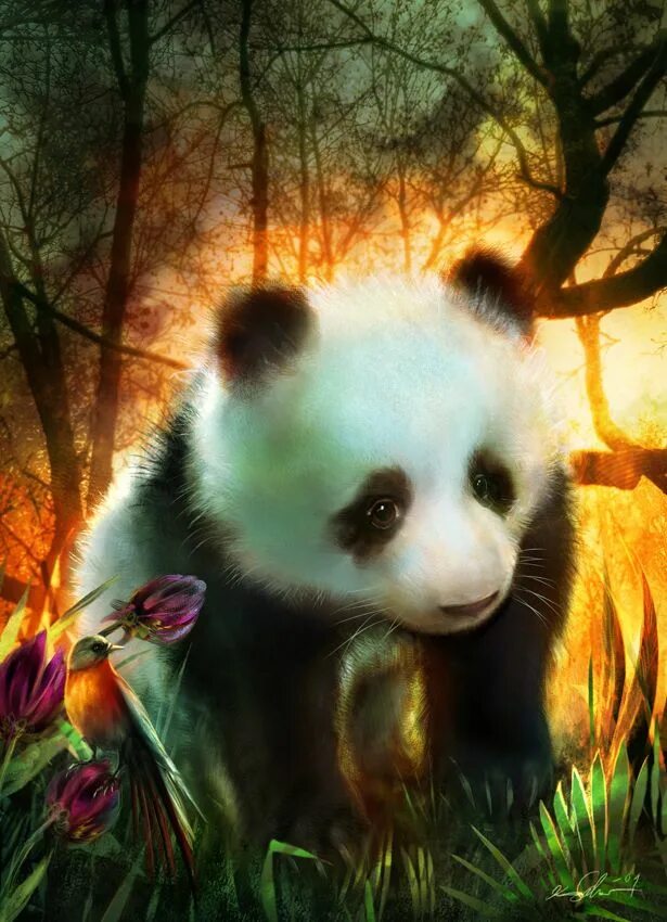Night pandas