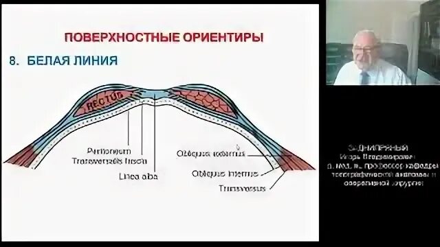 Герниология что это