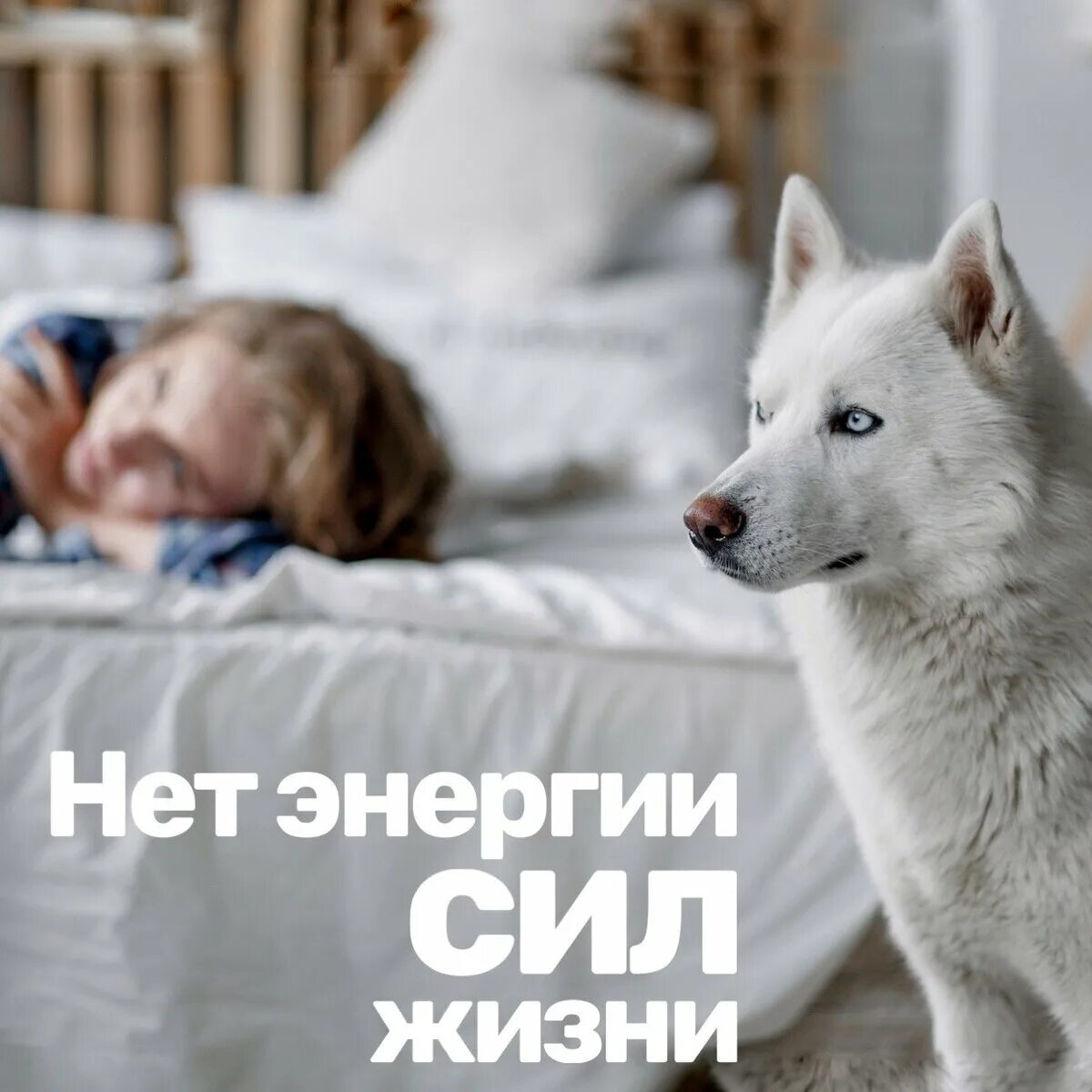Совсем нет энергии. Нет энергии. нет сил нет энергии. нет энергии жить. нет энергии апатия.