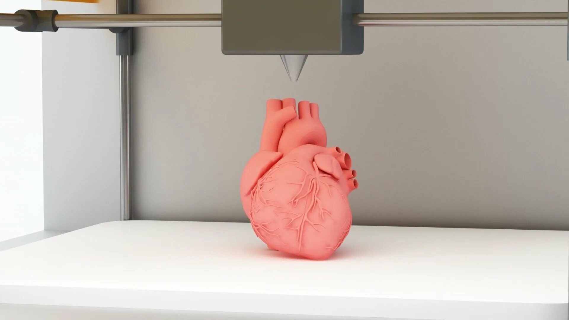 Печатать органы. 3d принтер Organ Printer. Органы на 3д принтере. Печать органов на 3д принтере. Печать органов на 3d принтере в России.