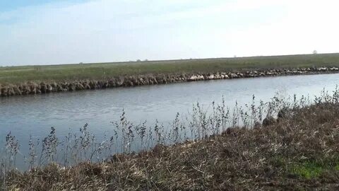 Сокрутовка астраханская область