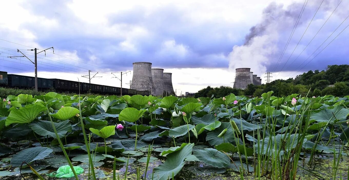 Ecology russia. Экологическое неблагополучие окружающей среды. Неблагополучная экологическая обстановка. Экология России. Неблагоприятная экология.