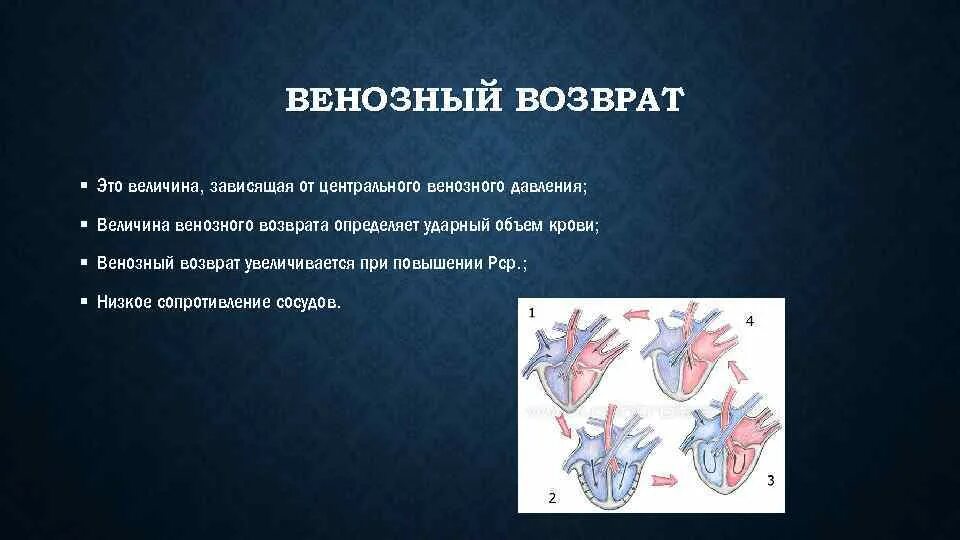 Факторы венозного возврата крови. Механизм венозного возврата крови к сердцу. Венозный возврат к сердцу. Венозный возврат крови зависит от. Возвращают кровь к сердцу