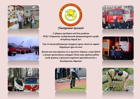 Виды служб пожарной охраны