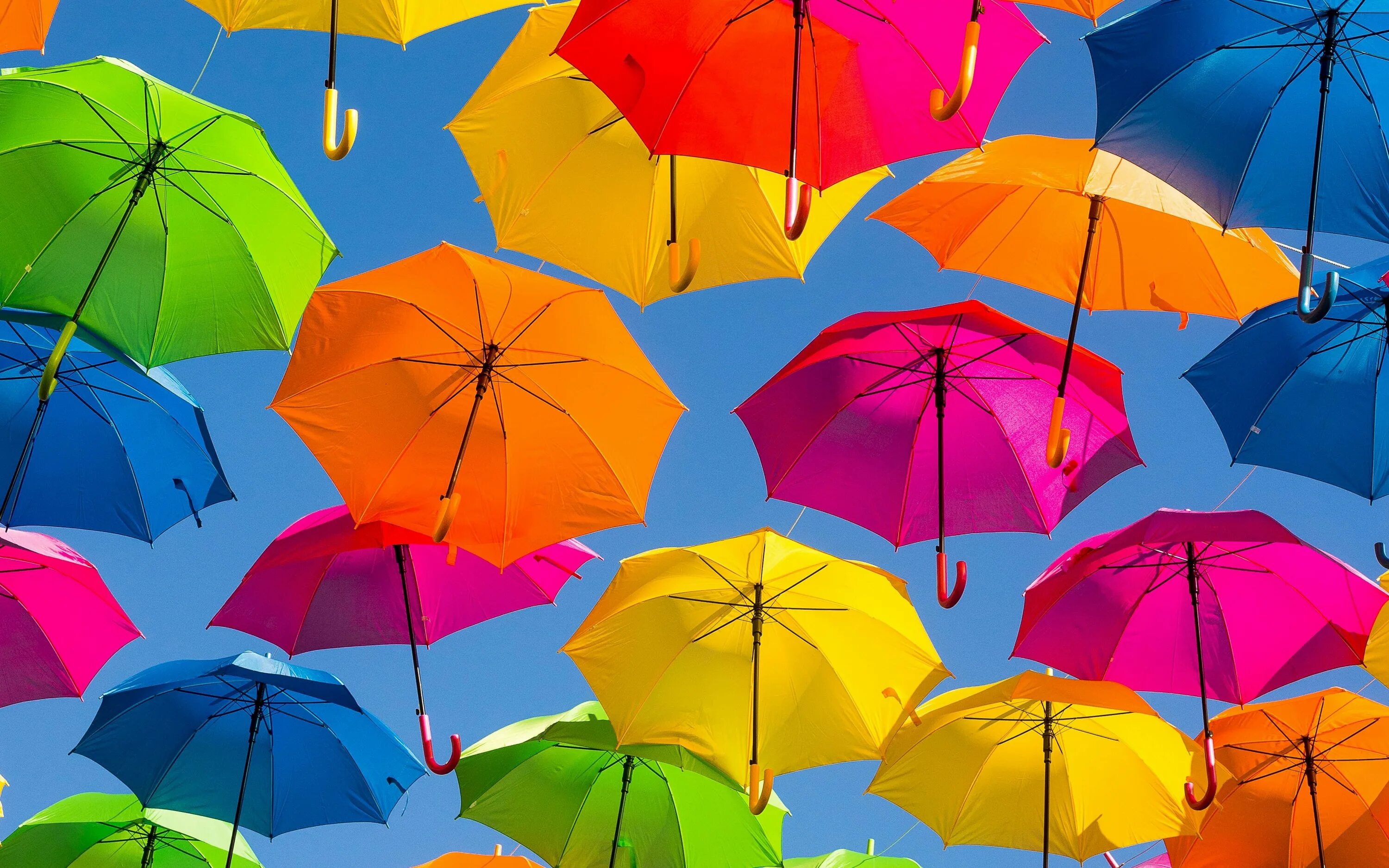Разноцветные зонтики. Красивые зонтики. Зонтики яркие. День разноцветных зонтов. Веселые зонтики