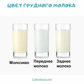 Молоко какие нормальные