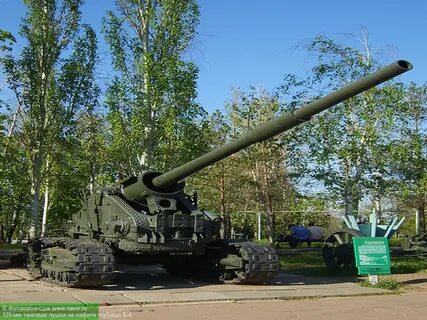 Д 81