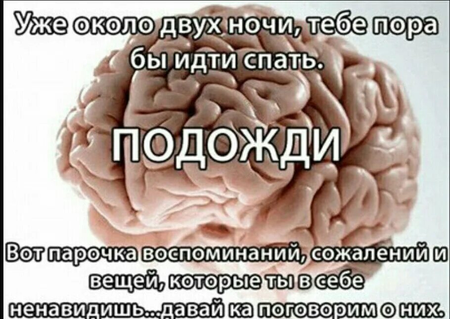 Мозги не делай. Шутки про мозг. Шутки про мозг ночью. Мозг не дает уснуть.