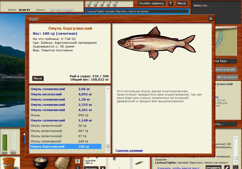 чебак и плотва. чебак и сорога отличия. реальная рыбалка чебак. реальная рыбалка радар. чебак и плотва разница.