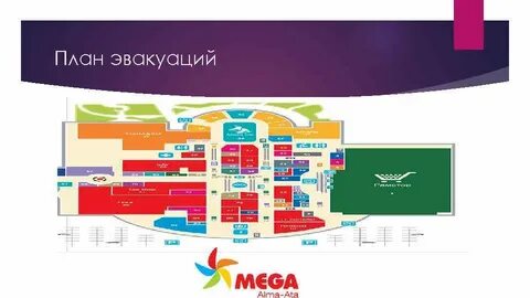 План меги