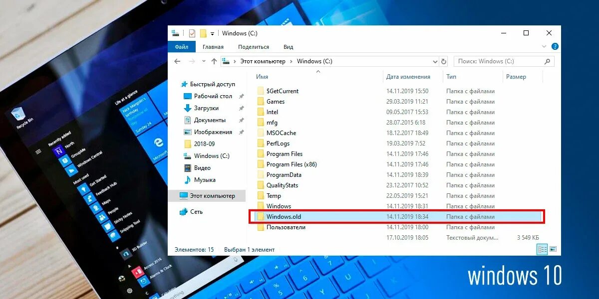 Папка Windows. Папка Windows 10. Директория виндовс 10. Виндовс 10 папка Windows. Windows 11 папка windows old