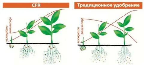 Что такое полят