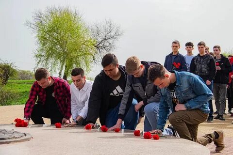 Дон 24 новости