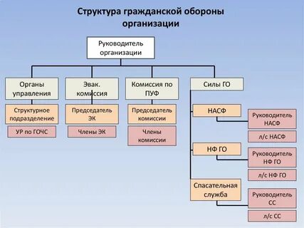 Организационно боевая и административно хозяйственная единица