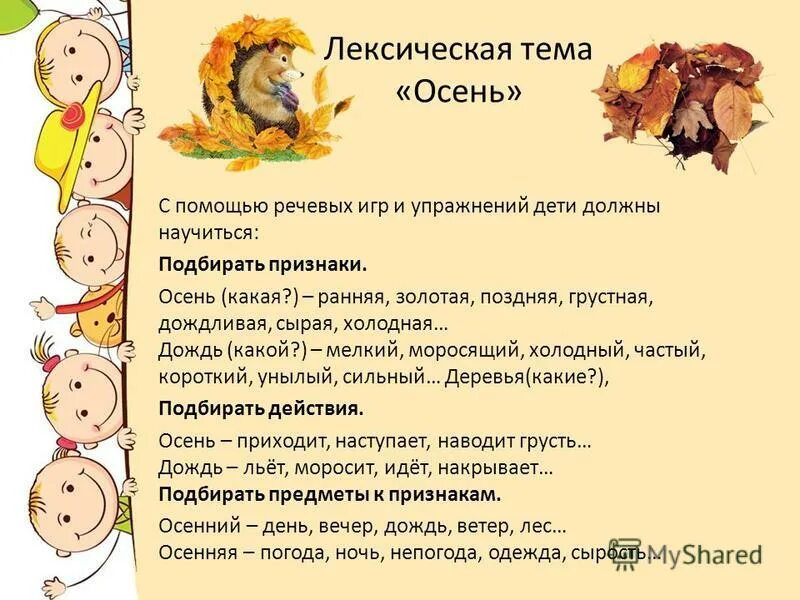 Лексическая тематическая группа