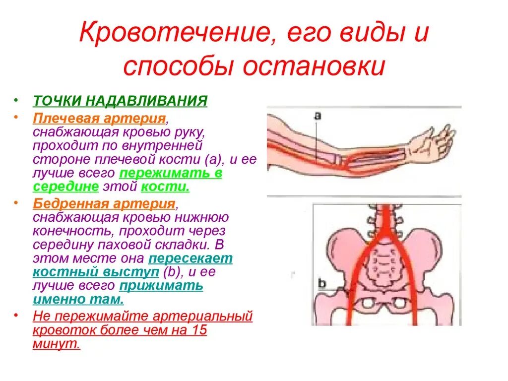 Таблица по типам кровотечений. Виды кровотечений признаки способы остановки. Виды кровотечений методы остановки. Таблица тип кровотечения признаки. Оказание первой помощи при ранениях.