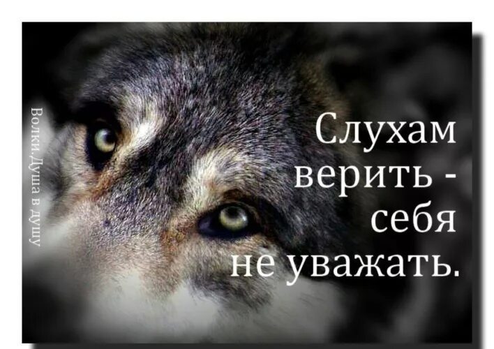 Я глазам не верю и скажу