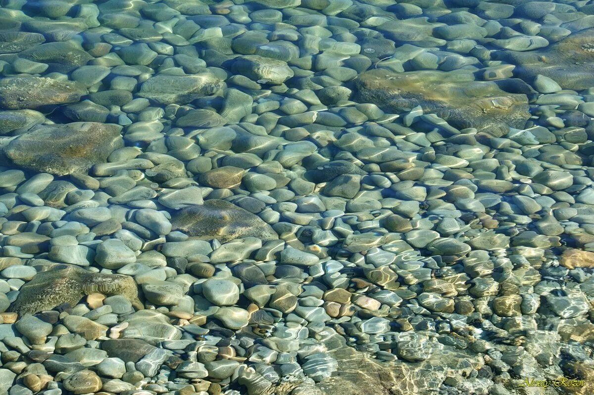 Подводные камни купить. Речное дно. Каменистое дно моря. Каменистое Морское дно. Галечное дно.