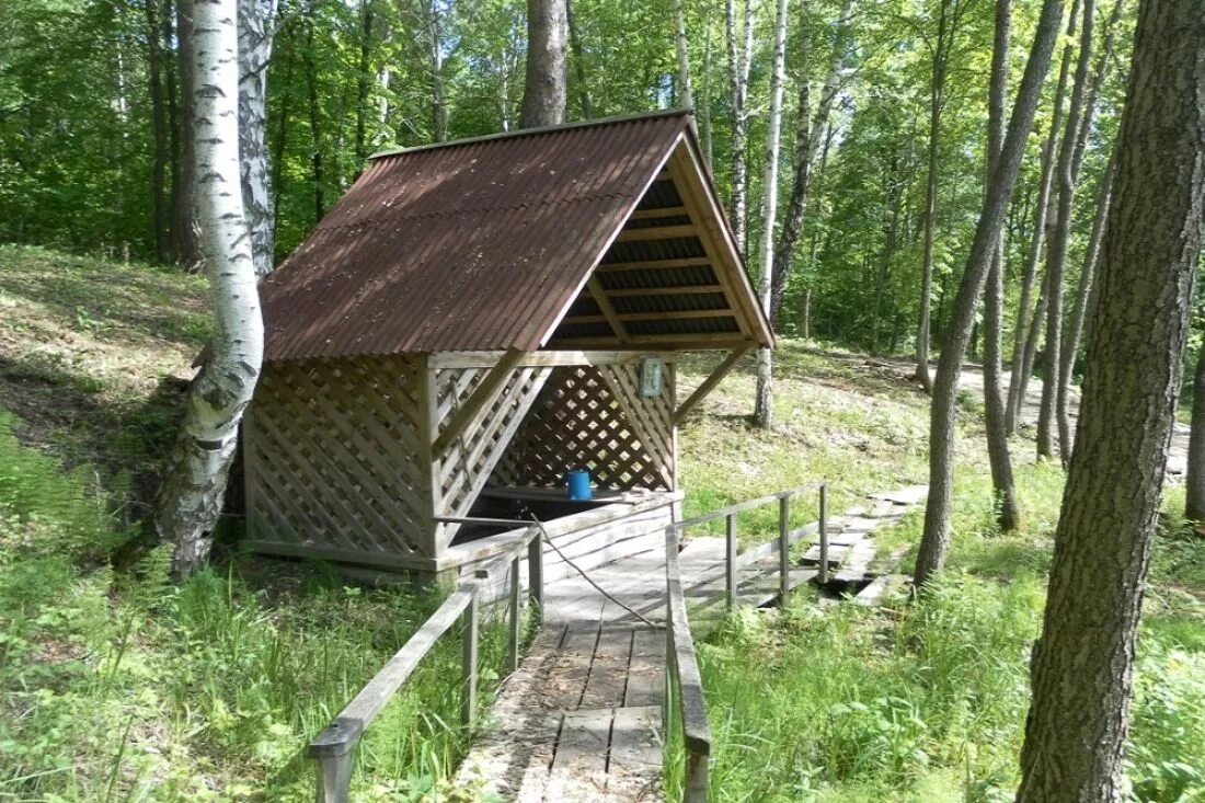 Основа родники. Родник Шемышейский. Лесхоз Ростовская область Родник. Родник Питкяранта. Родник в Лесниках Курган.