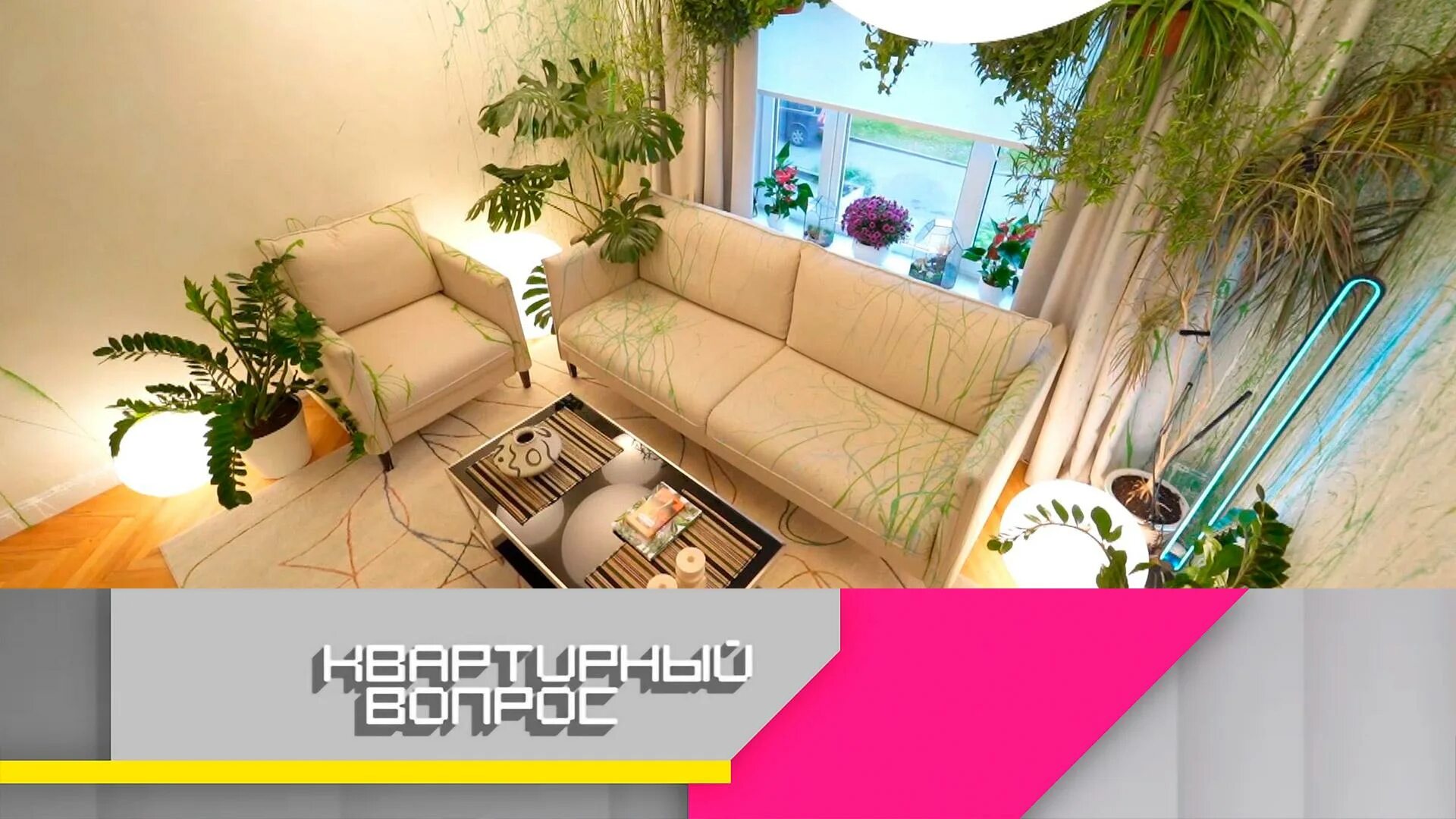 22. Нтв квартирный вопрос 2022. 12. Квартирный вопрос диск. Нтв квартирный вопрос 2022.