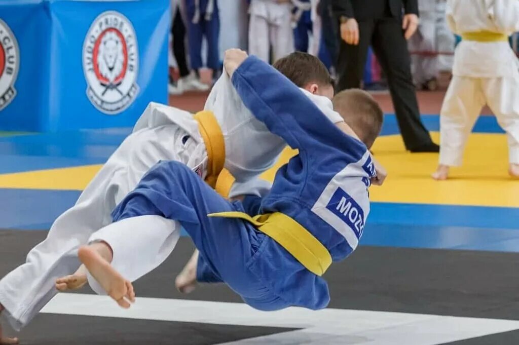 дзюдо апрель