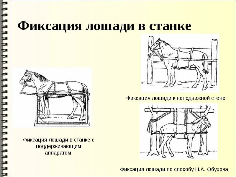 Правила мрс