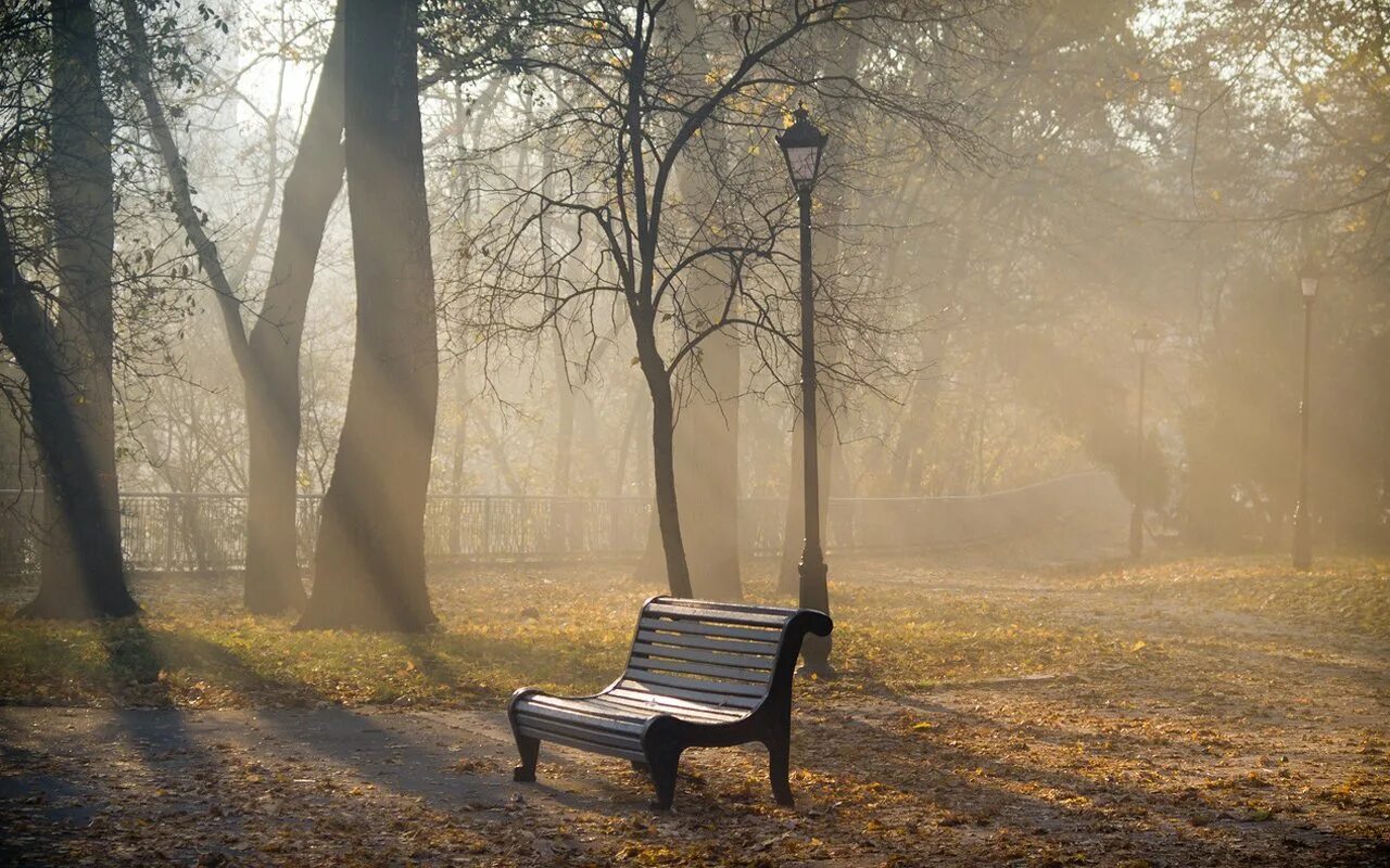 Warm november. Поздняя осень в парке. Осень парк туман. Скамейка в парке. Пасмурный день в парке.