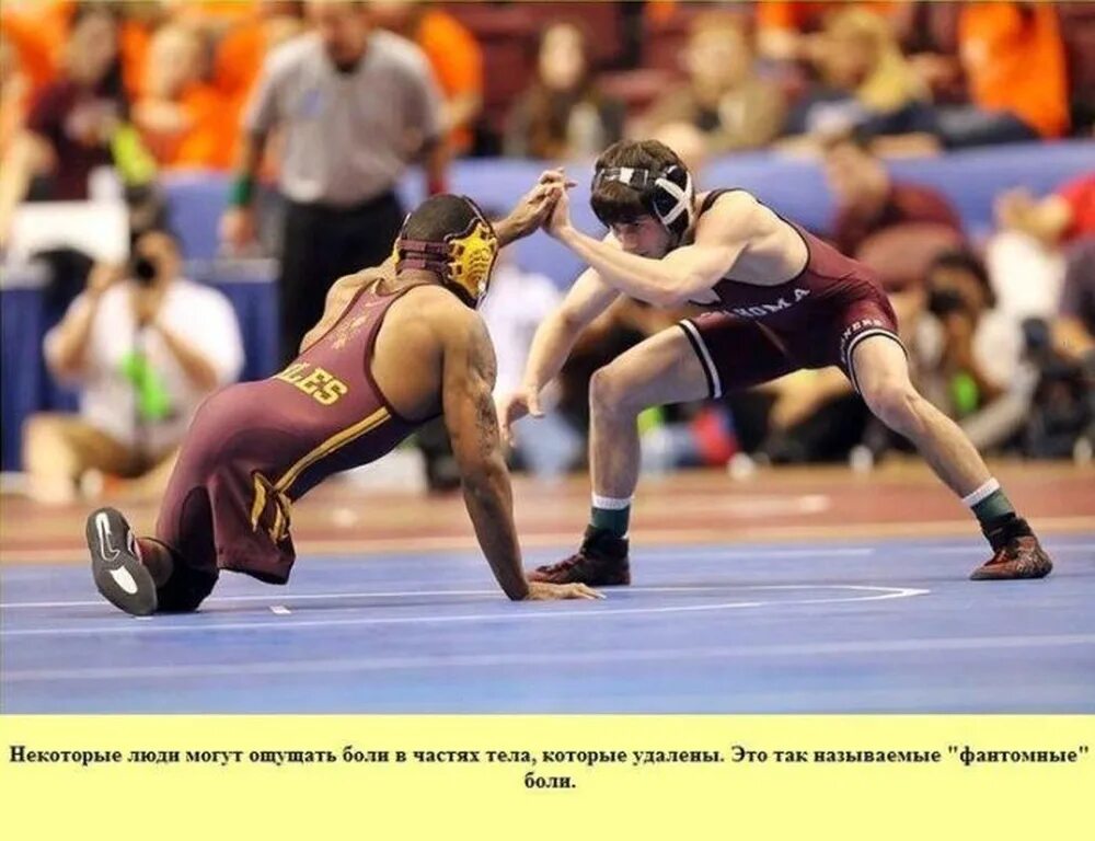 Смешные фразы про воровство. У некоторых людей можно. Цитаты про тупых людей. Доказывать человеку необходимость знания это все равно что. Мечту можно исполнить до конца недели.