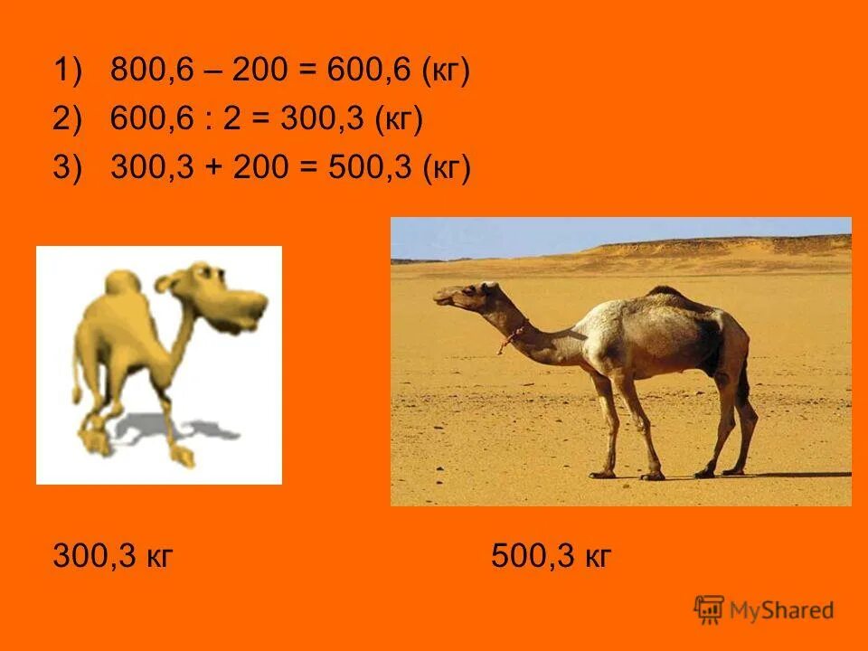 пакеты типа «банан» с прорубной ручкой. Mixvent 1000/250. банк русский стандарт эмблема. пакет тип банан фиолетовый. русский стандарт банк.