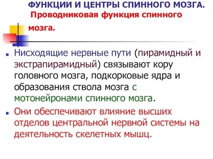 Серое вещество проводниковая функция