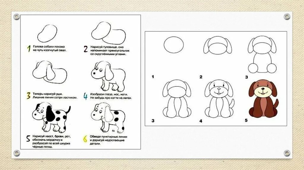 рисование собаки в подготовительной группе. последовательное рисование собаки. рисование собачка в подготовительной группе. рисование собаки в старшей группе. рисование собака старшая группа.