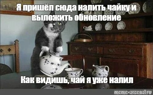 Кот чай Мем. Кот наливает чай Мем. Кот наливает чай. Котик с чаем Мем.