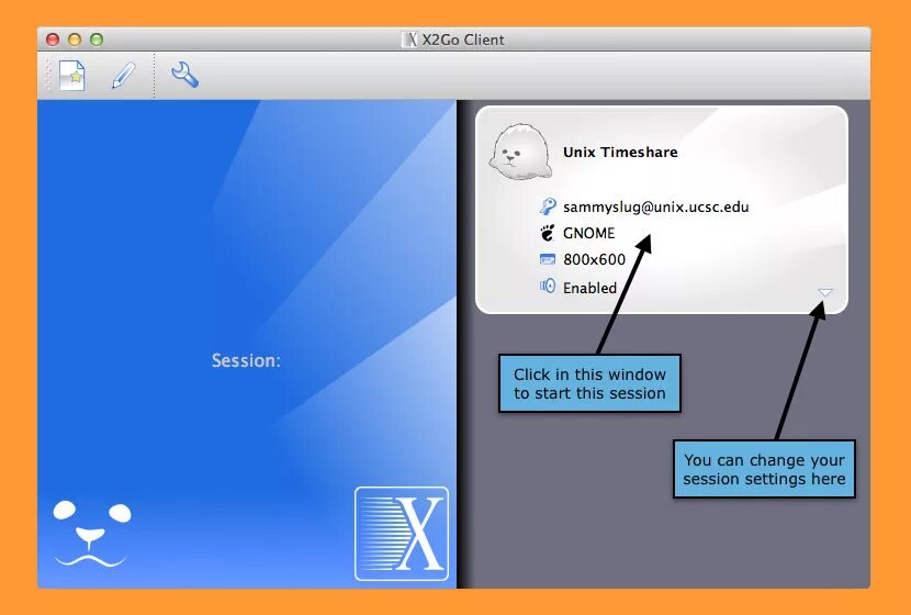 Go client. X2go. x2go client. x2go client manual. vnc клиент для windows 10.